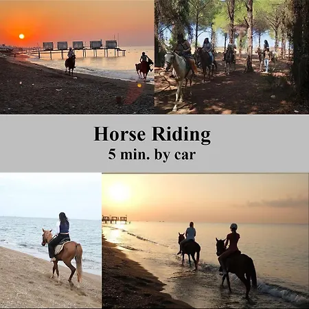 Professionally Maintained, Spacious New Residences Near Lara & Kundu